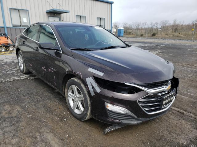 Chevrolet Malibu ls (2020)