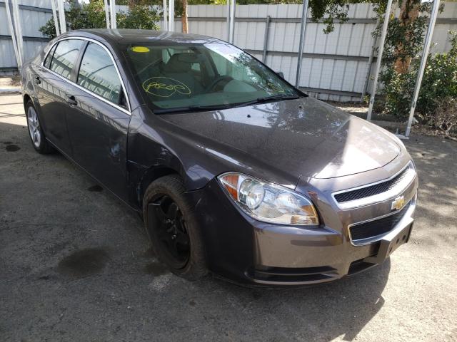Chevrolet Malibu ls (2011)