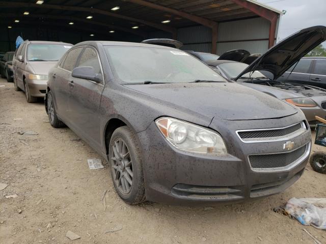 Chevrolet Malibu ls (2011)