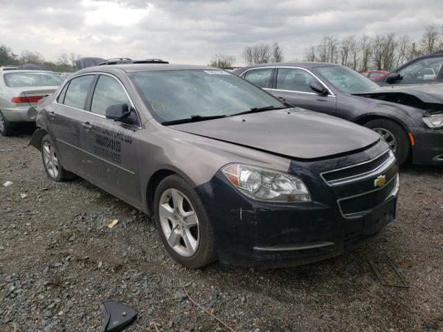Chevrolet Malibu ls (2011)