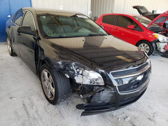 Chevrolet Malibu ls (2012)