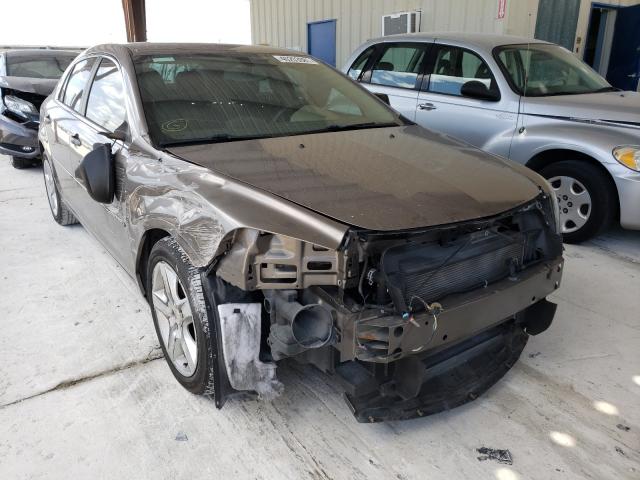 Chevrolet Malibu ls (2012)