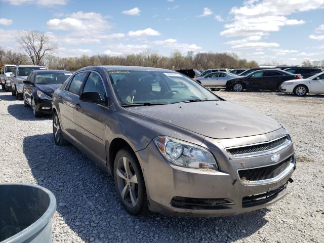 Chevrolet Malibu ls (2012)