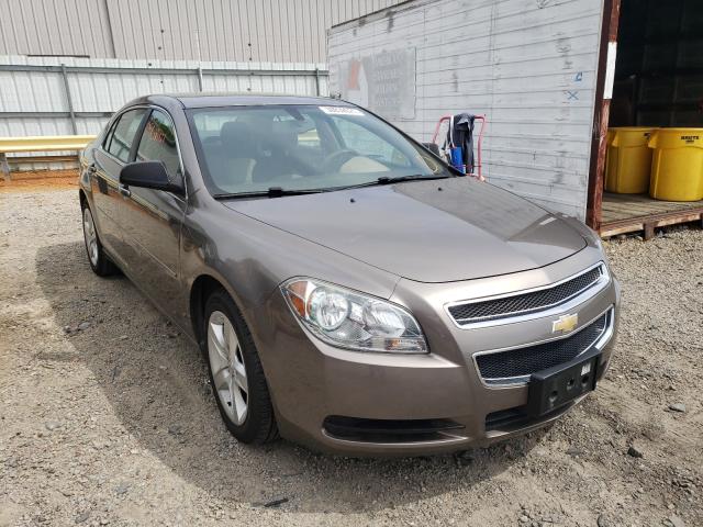 Chevrolet Malibu ls (2012)