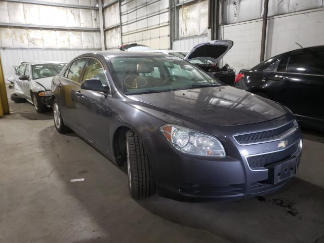Chevrolet Malibu ls (2010)