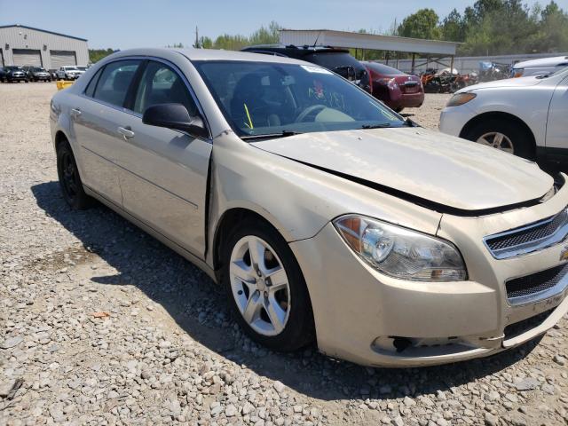 Chevrolet Malibu ls (2012)