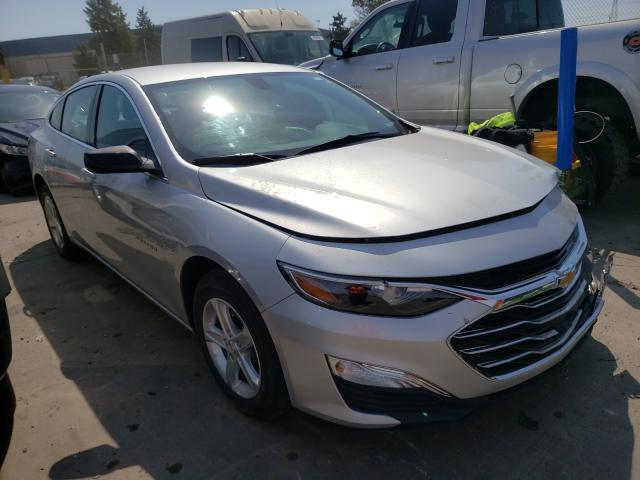 Chevrolet Malibu ls (2019)