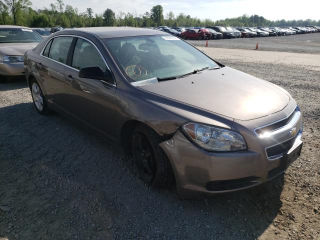 Chevrolet Malibu ls (2011)