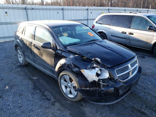 Dodge Caliber sx (2010)