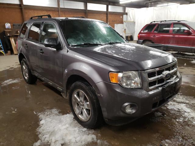 Ford Escape xlt (2010)