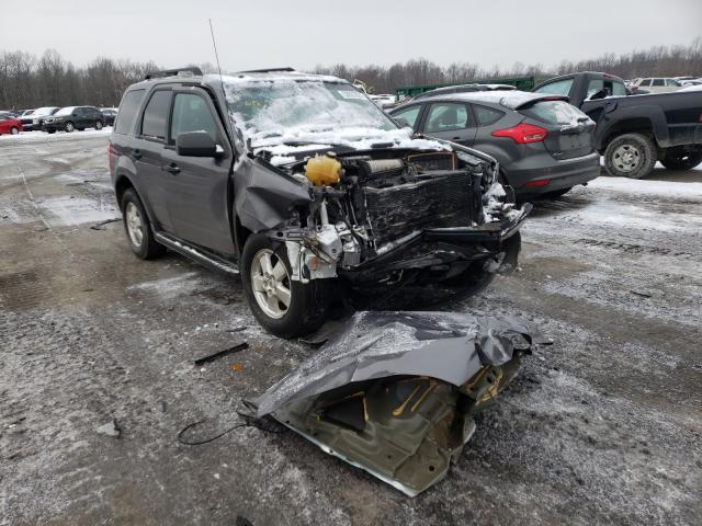 Ford Escape xlt (2011)