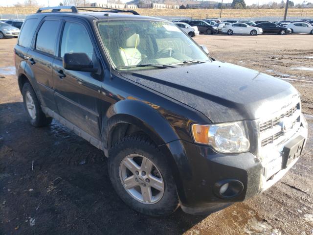 Ford Escape hyb (2010)