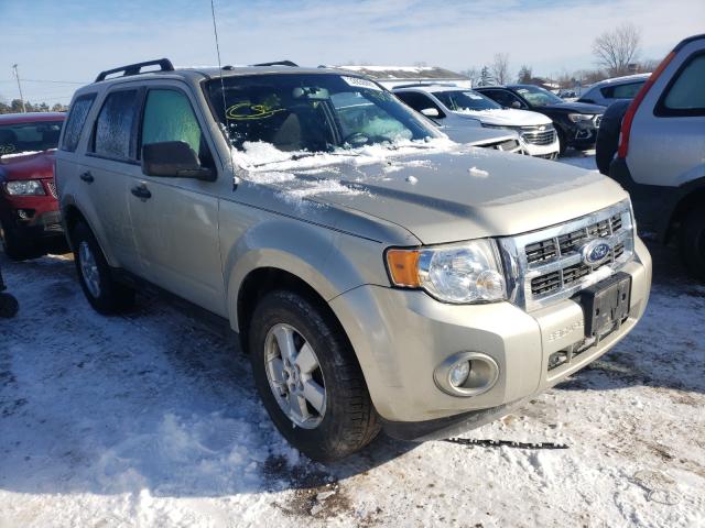 Ford Escape xlt (2010)