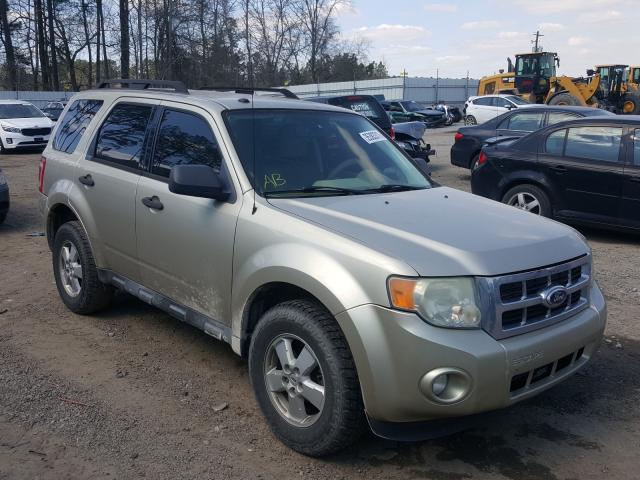 Ford Escape xlt (2010)