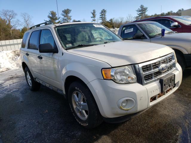 Ford Escape xlt (2010)
