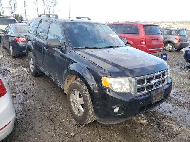 Ford Escape xlt (2010)