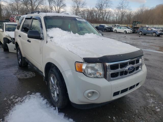 Ford Escape xlt (2010)