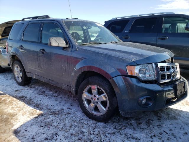 Ford Escape xlt (2011)