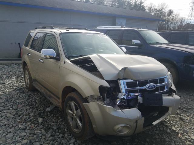 Ford Escape xlt (2011)