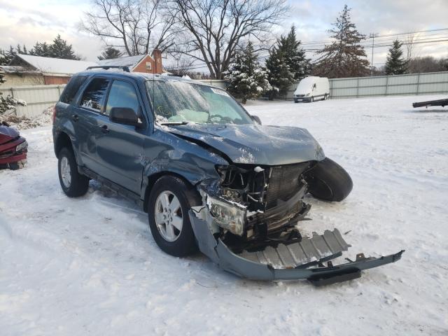 Ford Escape xlt (2011)