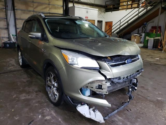 Ford Escape tit (2013)