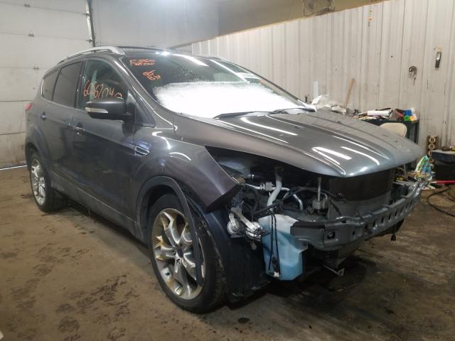 Ford Escape tit (2014)