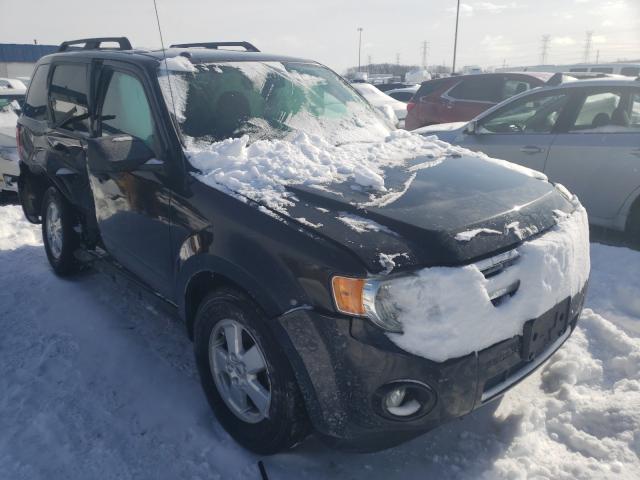 Ford Escape xlt (2011)