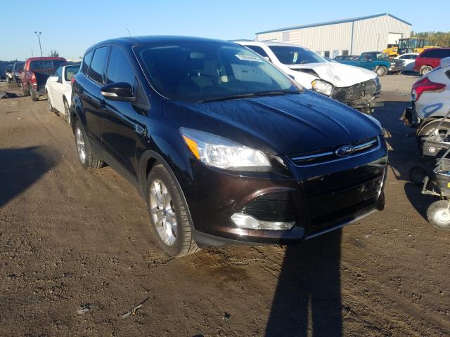 Ford Escape sel (2013)