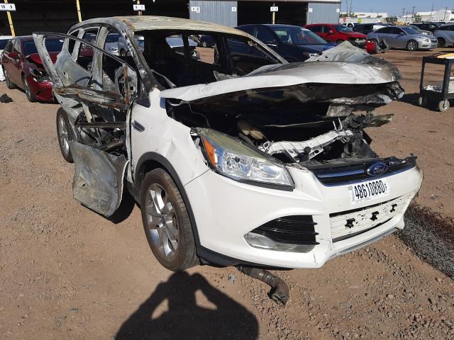 Ford Escape sel (2013)