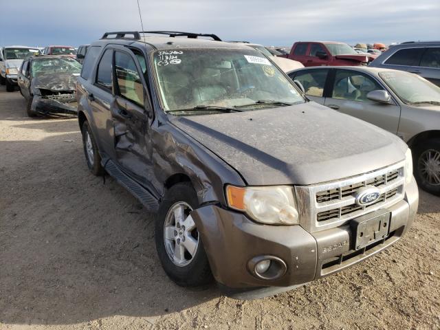Ford Escape xlt (2010)