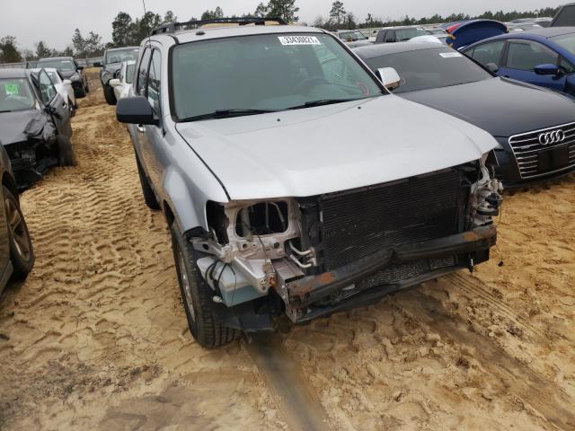 Ford Escape xlt (2010)