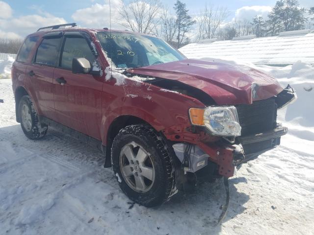 Ford Escape xlt (2011)