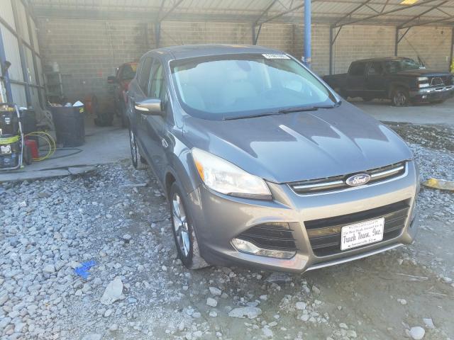 Ford Escape sel (2013)