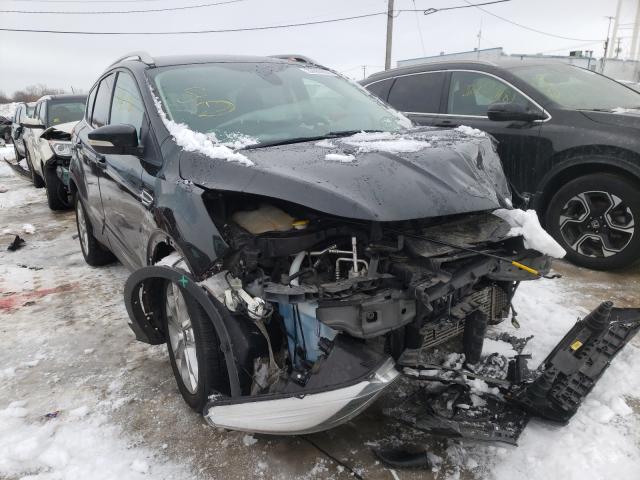 Ford Escape tit (2014)