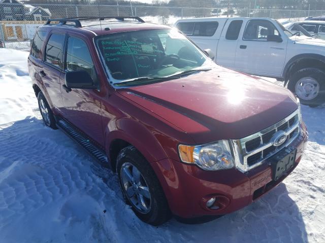 Ford Escape xlt (2010)