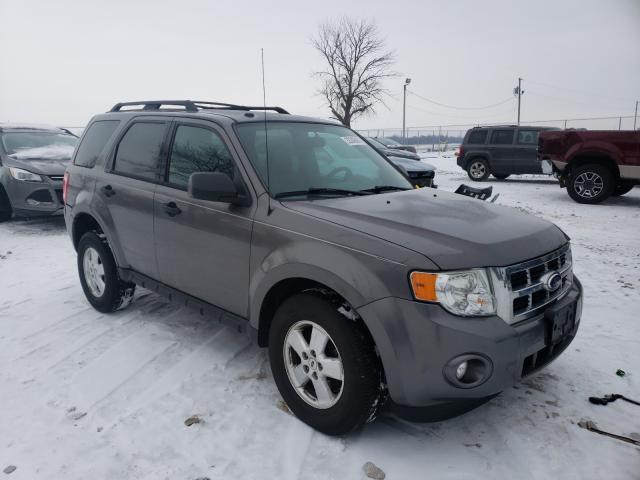 Ford Escape xlt (2011)