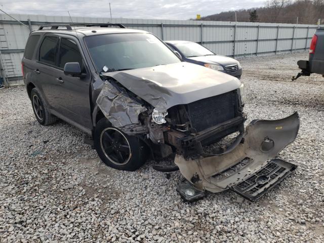 Ford Escape xlt (2011)