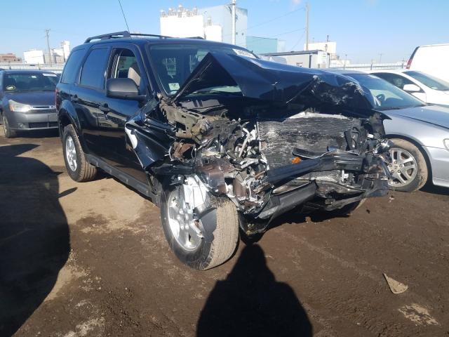 Ford Escape xlt (2012)