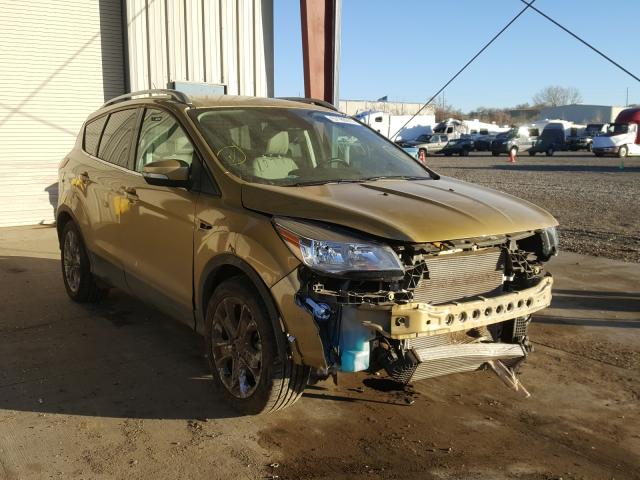 Ford Escape tit (2014)