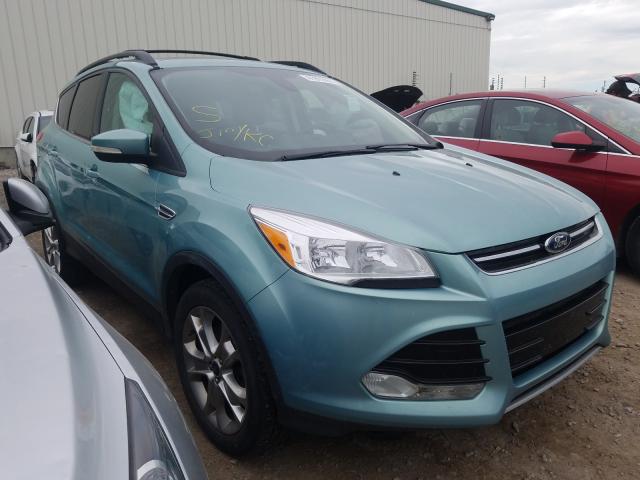 Ford Escape sel (2013)