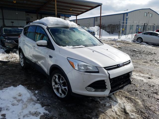 Ford Escape tit (2014)