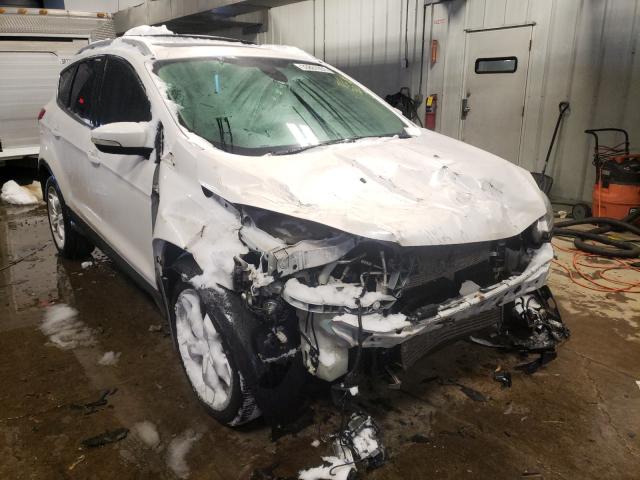 Ford Escape tit (2013)