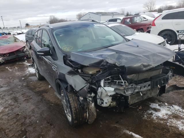 Ford Escape tit (2015)