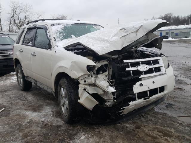 Ford Escape xlt (2010)