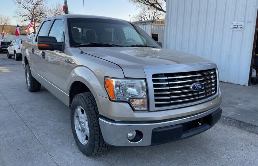 Ford F-150 (2010)