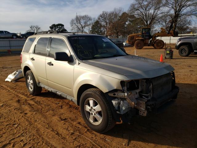Ford Escape xlt (2010)