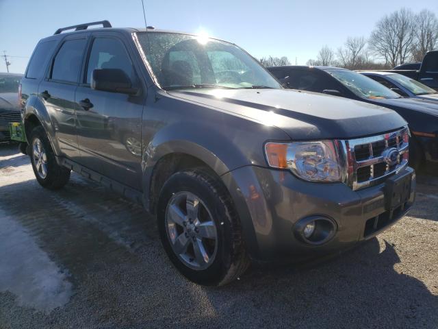 Ford Escape xlt (2010)