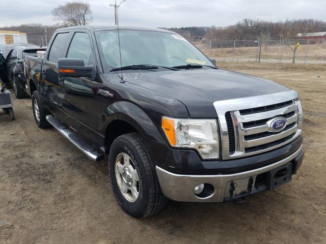 Ford F-150 (2010)
