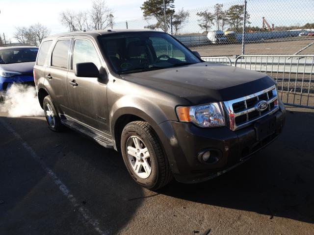 Ford Escape hyb (2011)