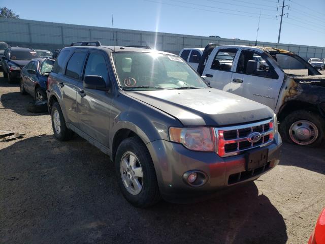 Ford Escape xlt (2011)